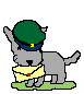 dog with mail