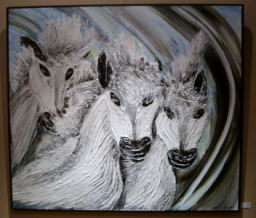 40.Galop_75x85.JPG