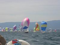boldor2002-21.jpg