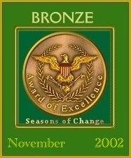 BRONZE AWARD OF EXCELLENCE