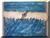 Dolphin_Surf.jpg (171963 bytes)