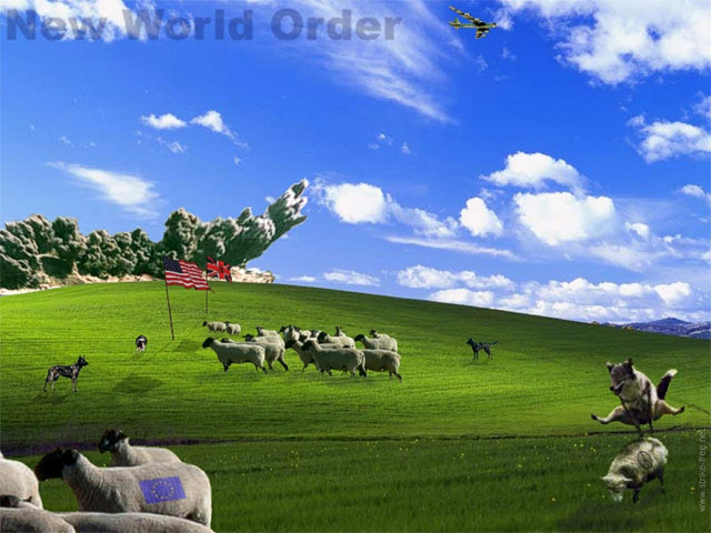 New Word Order