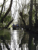The canals of the Green Venice