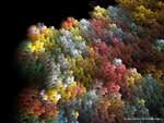 Colors of nature