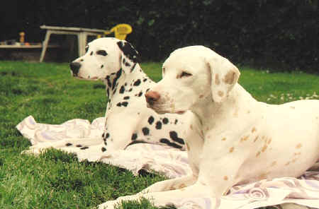Annabel and Bailey