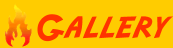 VFD Gallery