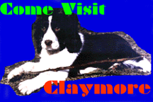 claymore