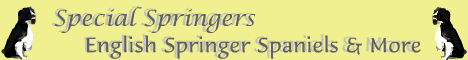geobanner2