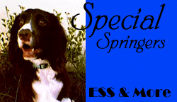 E banner