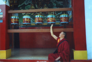 Tenzin Lama like morning sunlight streaming into a window - one is touched by your rays and is gently awakened..