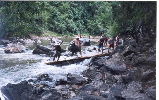 Bamboo rafting near Chiang Mai