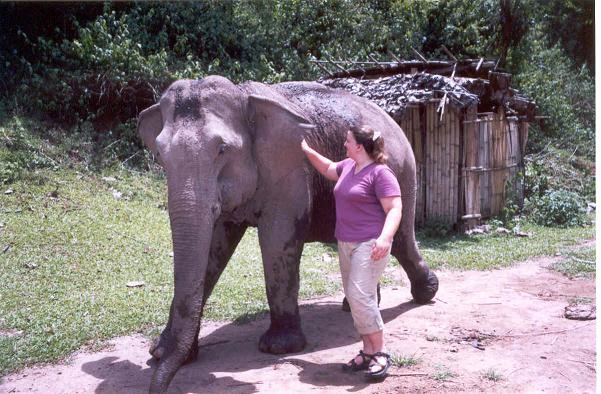 Elephant Camp near Chiang Mai