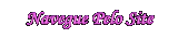 NAVEGUE PELO SITE LENAPLACI CLIQUE