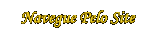 NAVEGUE PELO SITE LENAPLACI CLIQUE