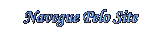 NAVEGUE PELO SITE LENAPLACI CLIQUE