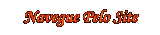 NAVEGUE PELO SITE LENAPLACI CLIQUE