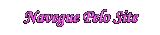 NAVEGUE PELO SITE LENAPLACI CLIQUE