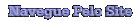 NAVEGUE PELO SITE LENAPLACI CLIQUE