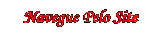 NAVEGUE PELO SITE LENAPLACI CLIQUE