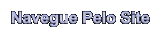 NAVEGUE PELO SITE LENAPLACI CLIQUE