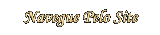 NAVEGUE PELO SITE LENAPLACI CLIQUE