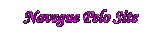 NAVEGUE PELO SITE LENAPLACI CLIQUE