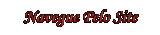 NAVEGUE PELO SITE LENAPLACI CLIQUE