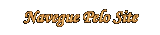 NAVEGUE PELO SITE LENAPLACI CLIQUE