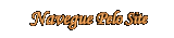 NAVEGUE PELO SITE LENAPLACI CLIQUE