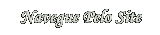 NAVEGUE PELO SITE LENAPLACI CLIQUE