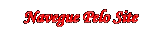 NAVEGUE PELO SITE LENAPLACI CLIQUE