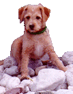 lana01.gif (10601 bytes)