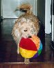 xball03.jpg (3669 bytes)