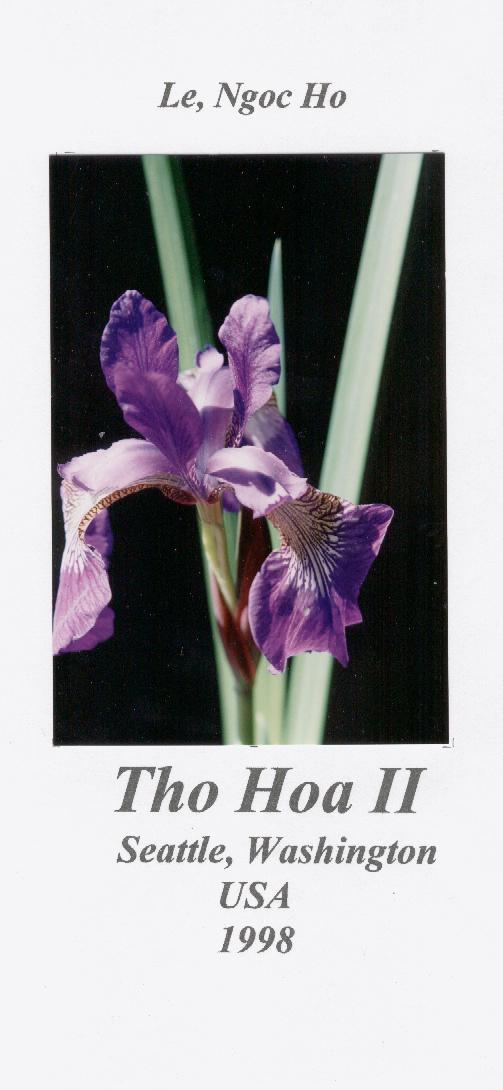  Tho Hoa II