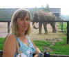 joanneelephant.JPG (118903 bytes)