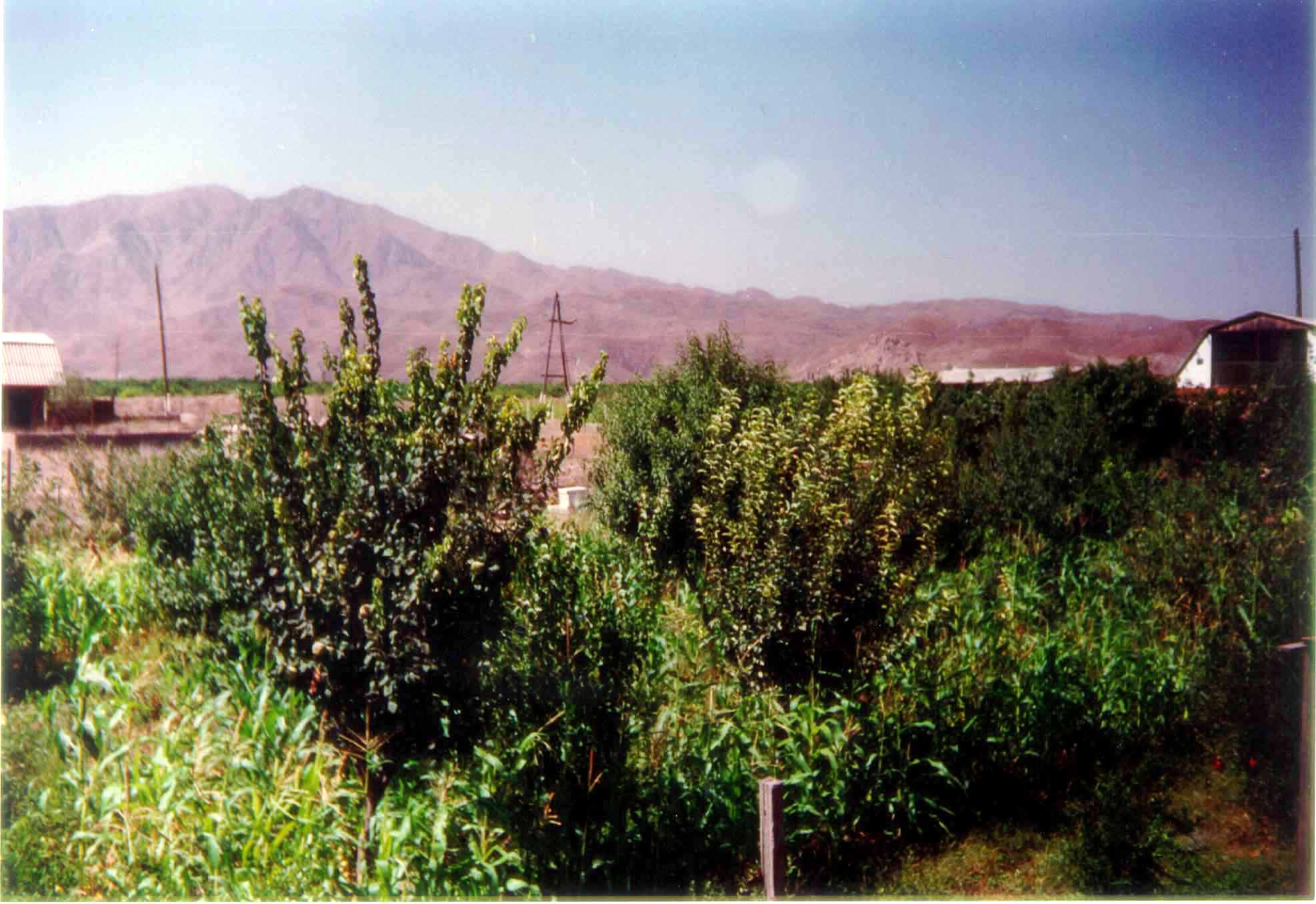 click to enlarge