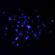 actinium