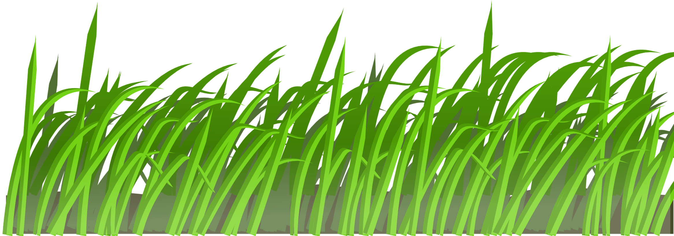 grass