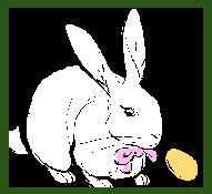 rabbit