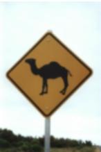 Northern Territory pictures - 6/12/01-16/12/01?
