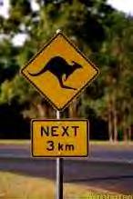 Queensland pictures - 23/10/01-5/12/01 (ish!)