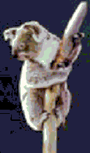 Virtorian Pictures