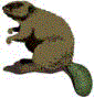 Beaver Packaging
