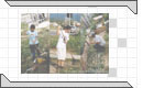 View this Album