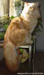 that's me again! keeping an eye on things around here!
