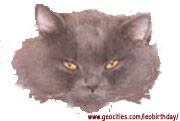 Leo's new friend, Bageera (pepper) Click on pic to see more pictures