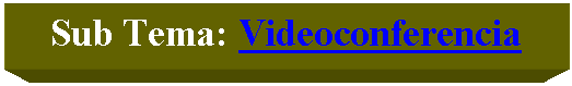 Cuadro de texto: Sub Tema: Videoconferencia