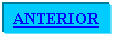 Cuadro de texto: ANTERIOR