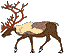 small reindeer