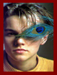 Leonardo 8